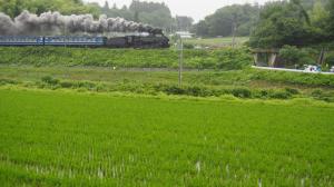 近づくSLの雄姿