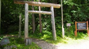 原生林の入り口