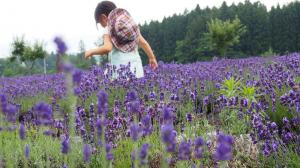 一面紫の世界01