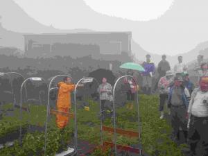 豪雨にもかかわらずリンドウ実証栽培現地検討会に参加した生産者等