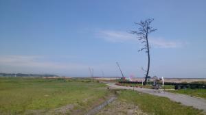 20150721 鹿島の一本松(南相馬市)