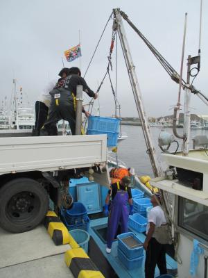 20150820　試験操業中の真野川漁港