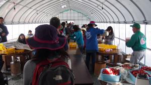 おなじみの和田観光いちご園にて