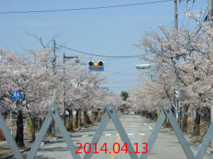 嘆きのフェンス2014