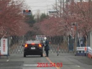 嘆きのフェンス2016