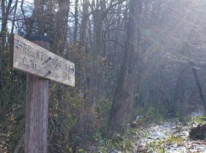 案内板をよく見ると...