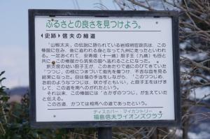 しのぶの細道の説明