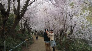 ポーズを取るカップル