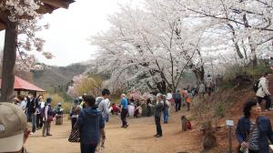 賑わう花見客たち02