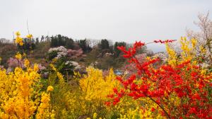 絵はがきのような景色01