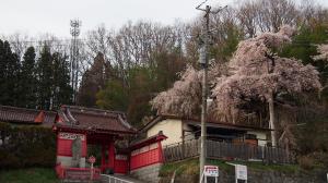 遠目からでも一目瞭然