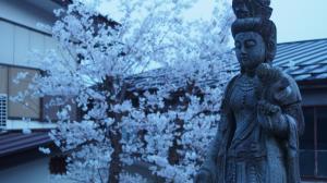 無慈悲な観音様