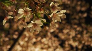 君よずっと幸せに..