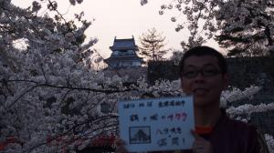 鶴ケ城のソメイヨシノ