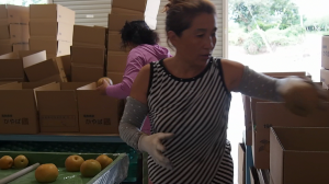 箱詰めする様子