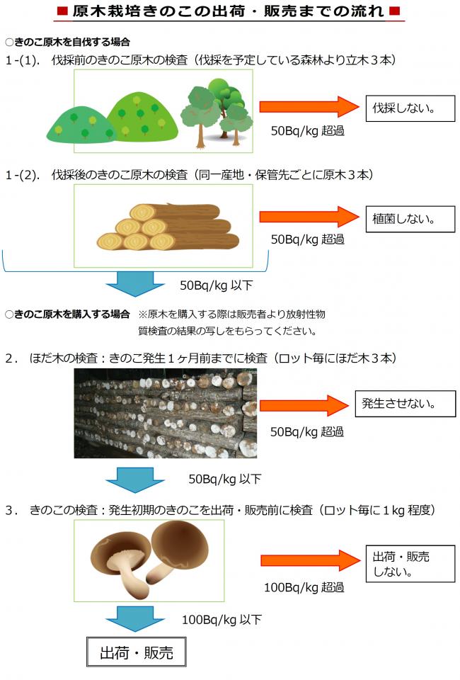 原木検査