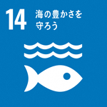 (SDGs開発目標)14:海の豊かさを守ろう