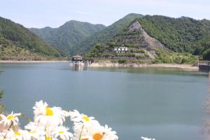 令和8年5月19日現在の様子