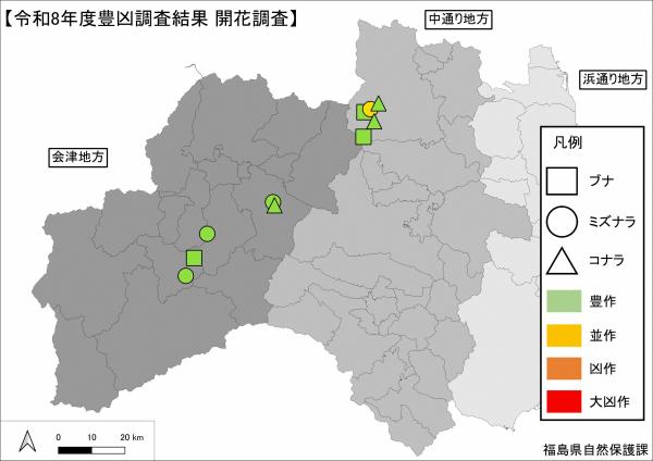 令和８年度開花調査結果
