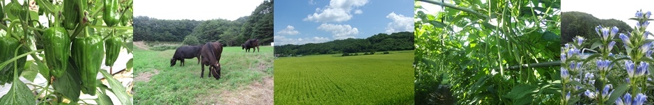 田村管内の農業風景